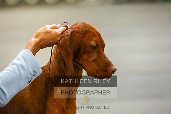 2022-KathleenRileyPhotography-8731