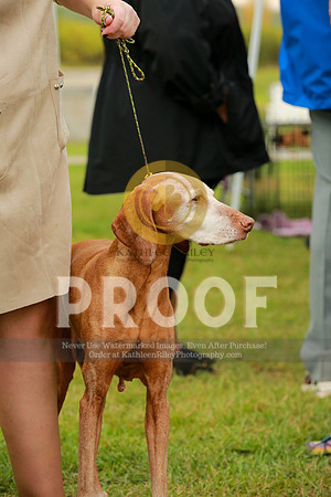 2021-KathleenRileyPhotography-1115