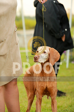 2021-KathleenRileyPhotography-1118