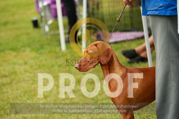 2021-KathleenRileyPhotography-1133