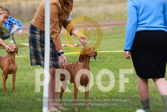 2021-KathleenRileyPhotography-1201
