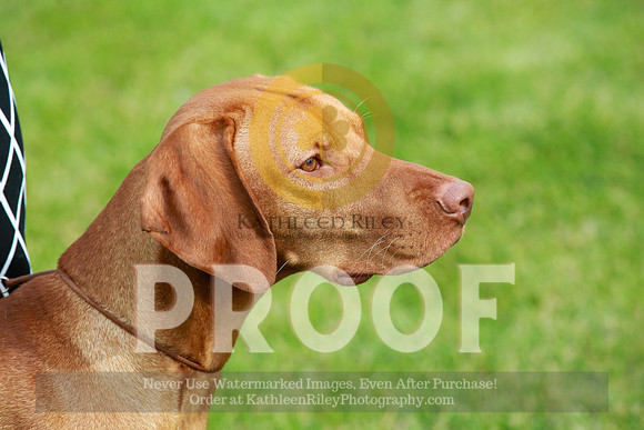 2021-KathleenRileyPhotography-1202