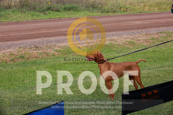 2021-KathleenRileyPhotography-1279
