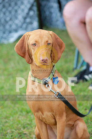 2021-KathleenRileyPhotography-1329