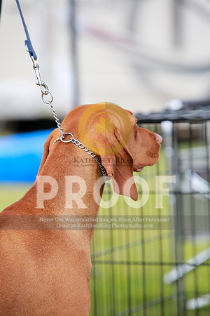2021-KathleenRileyPhotography-1333