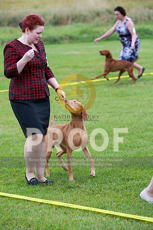 2021-KathleenRileyPhotography-1611
