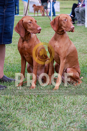 2021-KathleenRileyPhotography-2443