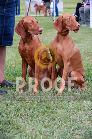 2021-KathleenRileyPhotography-2445