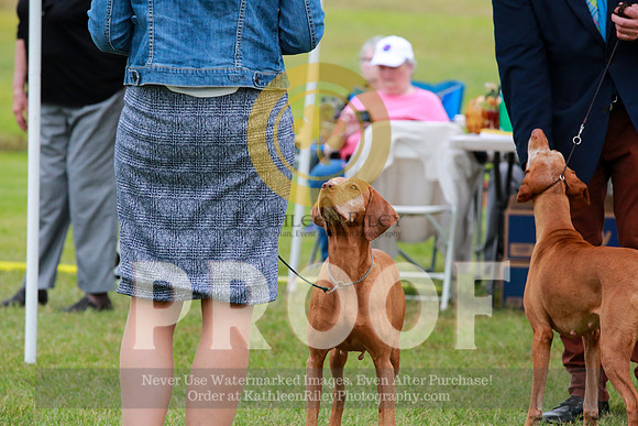 2021-KathleenRileyPhotography-2124