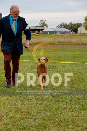 2021-KathleenRileyPhotography-3331