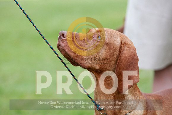 2021-KathleenRileyPhotography-2373