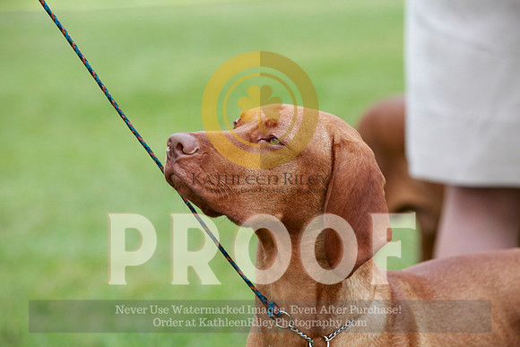2021-KathleenRileyPhotography-2374