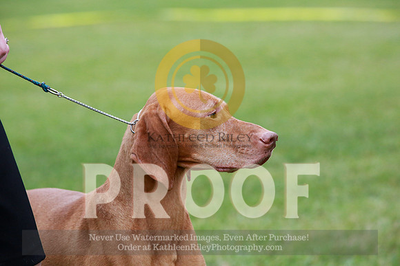 2021-KathleenRileyPhotography-2383