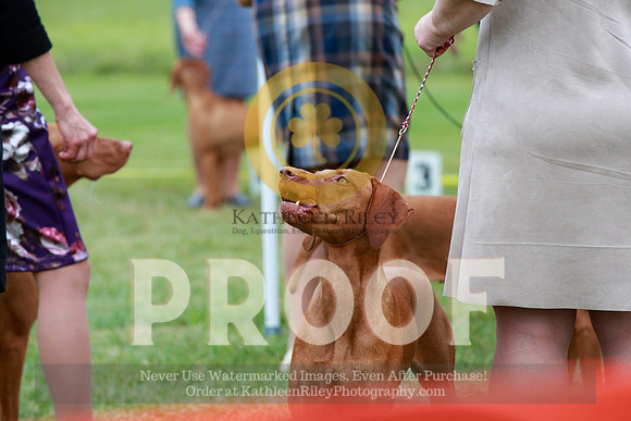 2021-KathleenRileyPhotography-2408