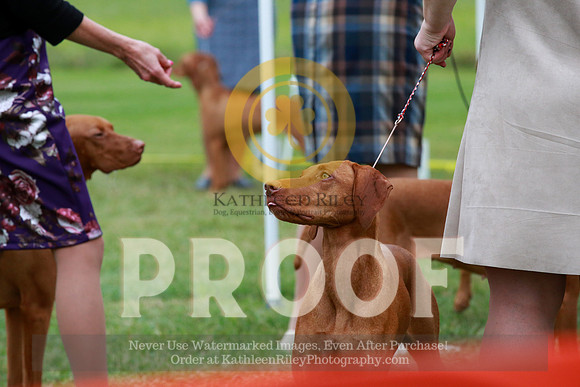 2021-KathleenRileyPhotography-2409