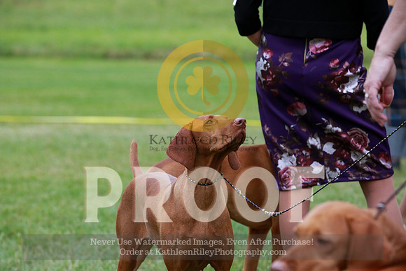 2021-KathleenRileyPhotography-2410