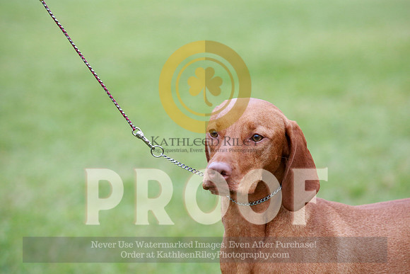 2021-KathleenRileyPhotography-2411