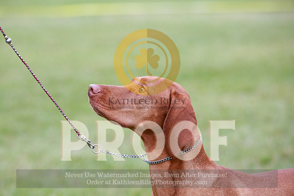 2021-KathleenRileyPhotography-2415