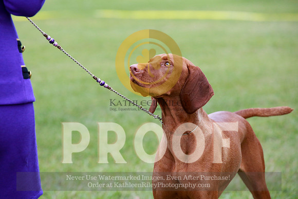 2021-KathleenRileyPhotography-2432