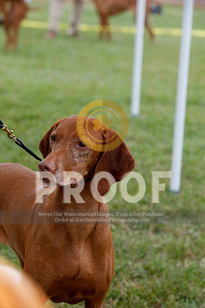 2021-KathleenRileyPhotography-3529