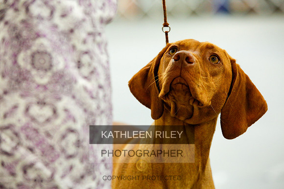 2022-KathleenRileyPhotography-9938