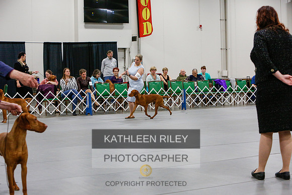 2022-KathleenRileyPhotography-6744