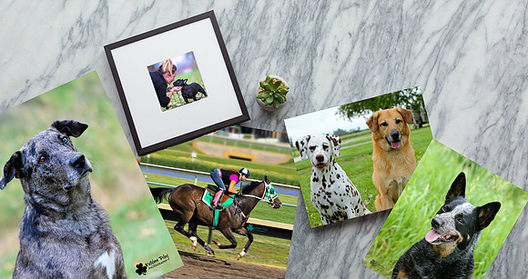 Photographic Prints Kathleen Riley Photography