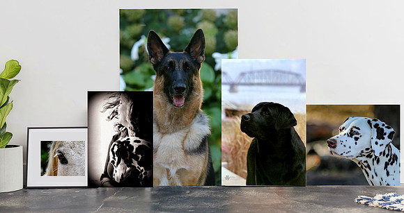 Wall Art Kathleen Riley Photography