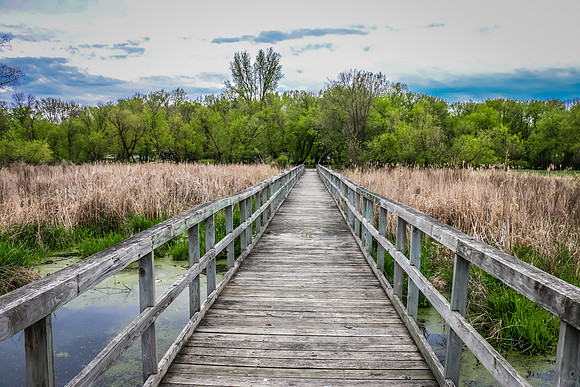 Boardwalk into the nature preserve Golden Valley Minnesota
