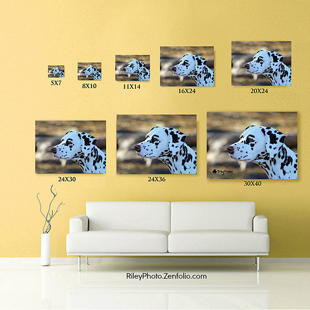 Wall Print Size Display