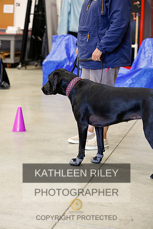 2022-KathleenRileyPhotography-7312
