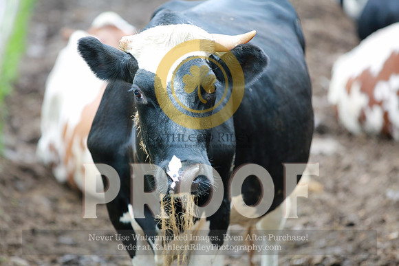 2021-KathleenRileyPhotography-2649