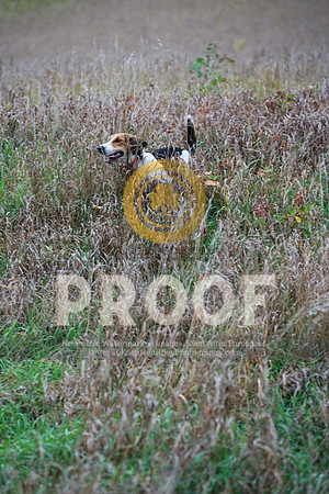 2021-KathleenRileyPhotography-2783