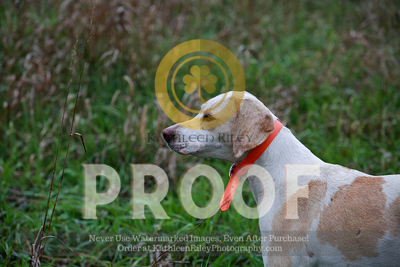 2021-KathleenRileyPhotography-2803
