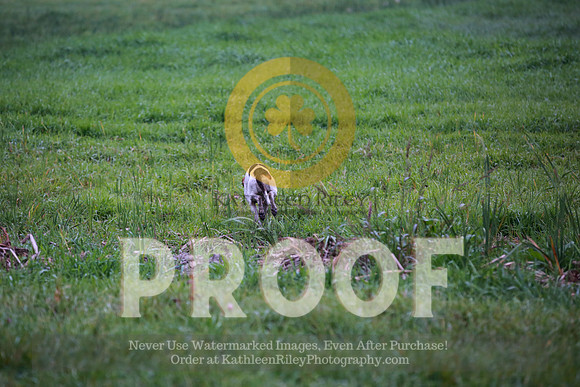 2021-KathleenRileyPhotography-2908
