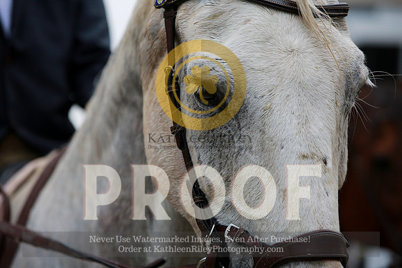 2021-KathleenRileyPhotography-2984