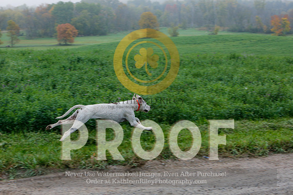 2021-KathleenRileyPhotography-3845