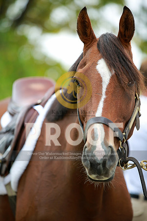2021-KathleenRileyPhotography-2554