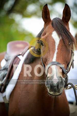 2021-KathleenRileyPhotography-2555