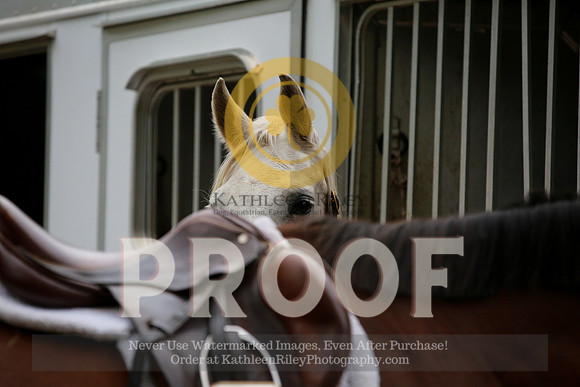 2021-KathleenRileyPhotography-2559