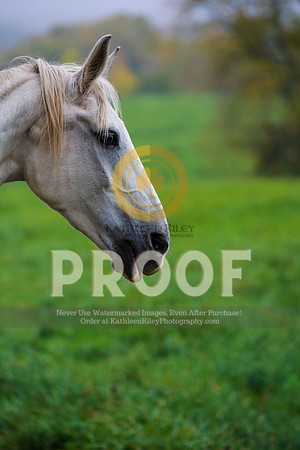 2021-KathleenRileyPhotography-2569