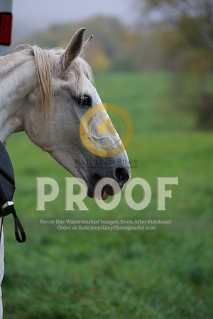 2021-KathleenRileyPhotography-2570