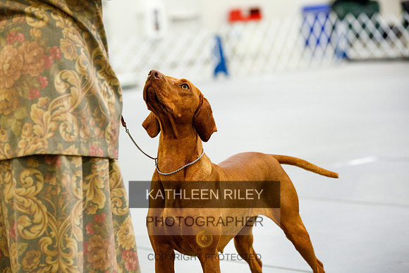 2022-KathleenRileyPhotography-9443
