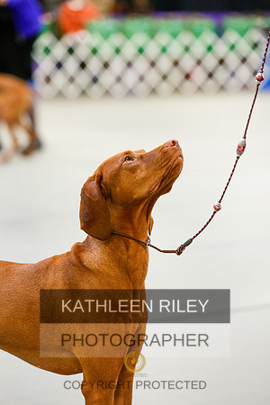 2022-KathleenRileyPhotography-3853