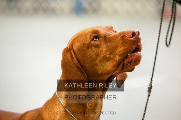 2022-KathleenRileyPhotography-8670