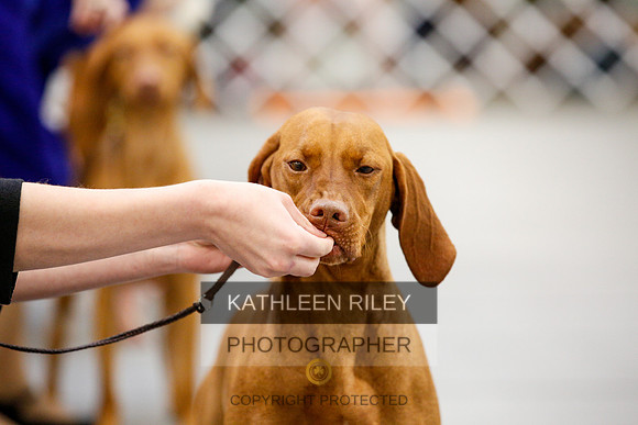 2022-KathleenRileyPhotography-2327
