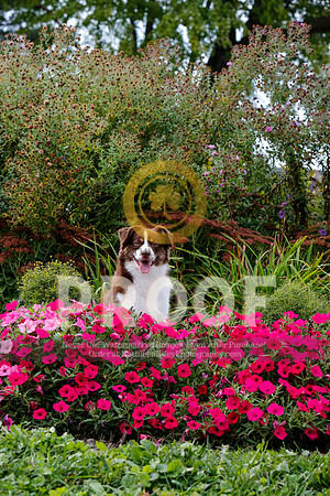 2021-KathleenRileyPhotography-5106
