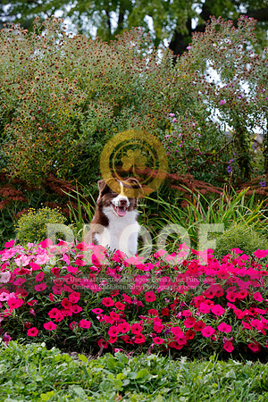 2021-KathleenRileyPhotography-5107