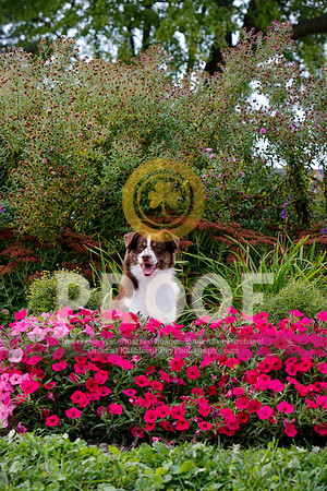 2021-KathleenRileyPhotography-5112