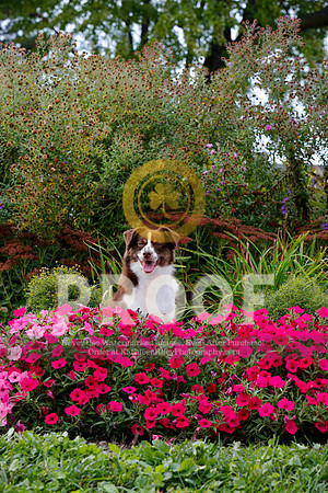 2021-KathleenRileyPhotography-5113